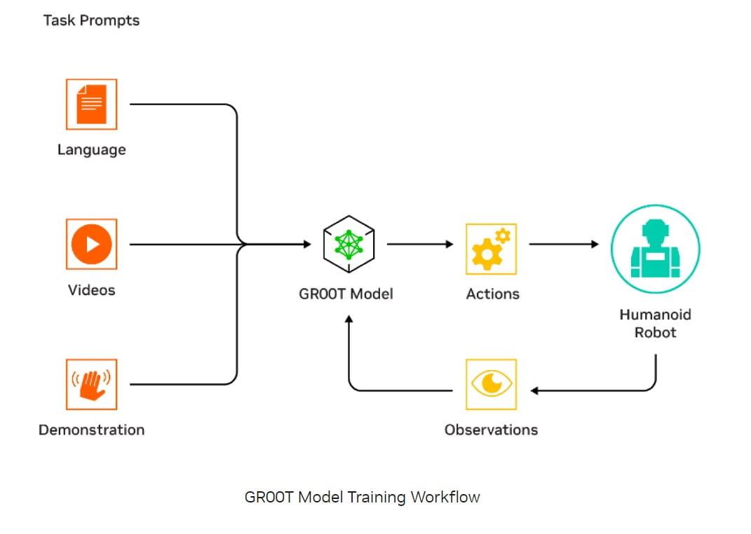 Gr00t Training workflow by Nvidia <a href="https://developer.nvidia.com/project-gr00t" rel="nofollow">Source</a>