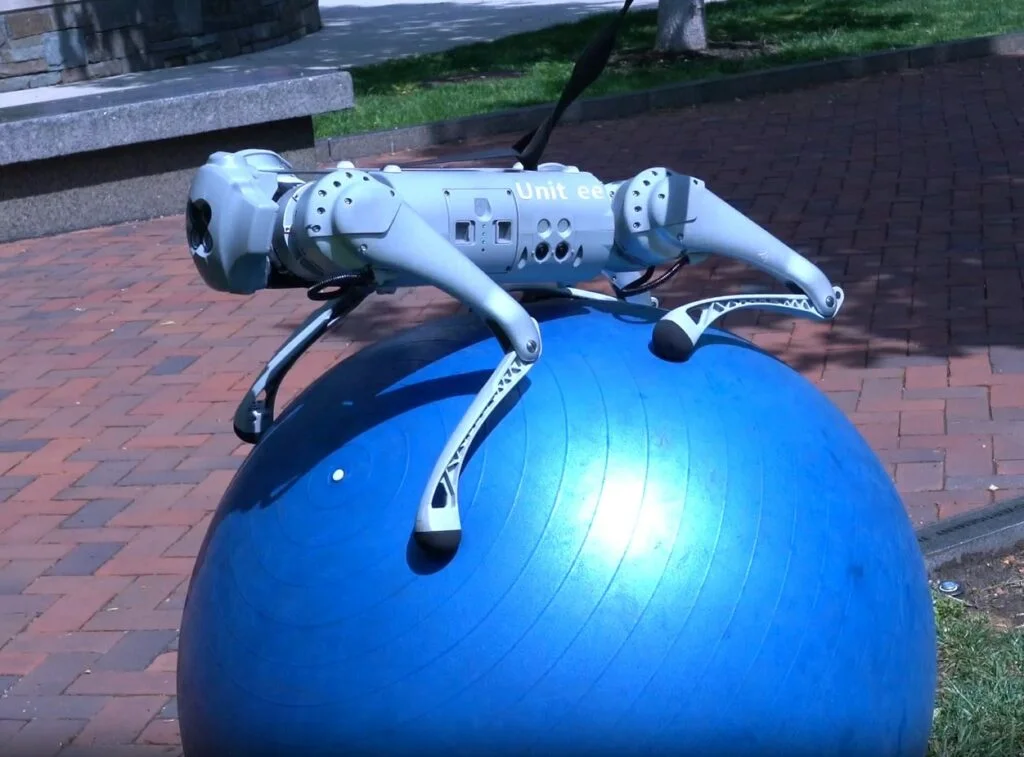 What You Are Unable to Do Robot Balances on a Ball with Nvidia's DrEureka Sim-to-Real Model - featured image Source