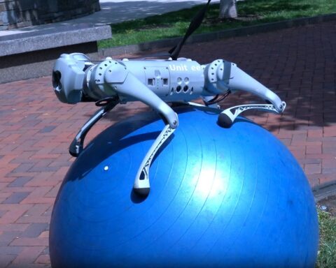 What You Are Unable to Do Robot Balances on a Ball with Nvidia's DrEureka Sim-to-Real Model - featured image Source
